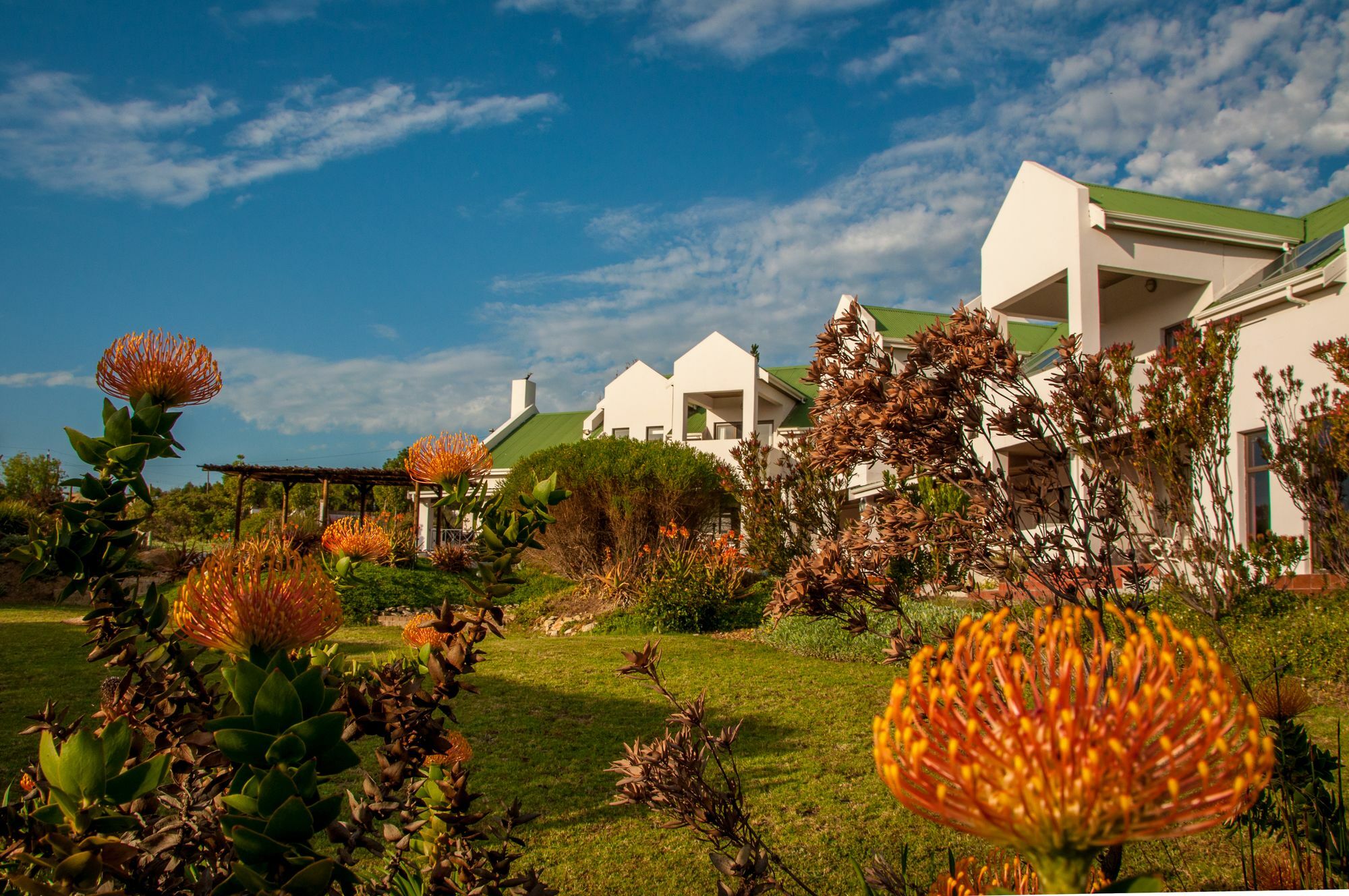 Wind-Rose Guest House Gordonʼs Bay Екстериор снимка